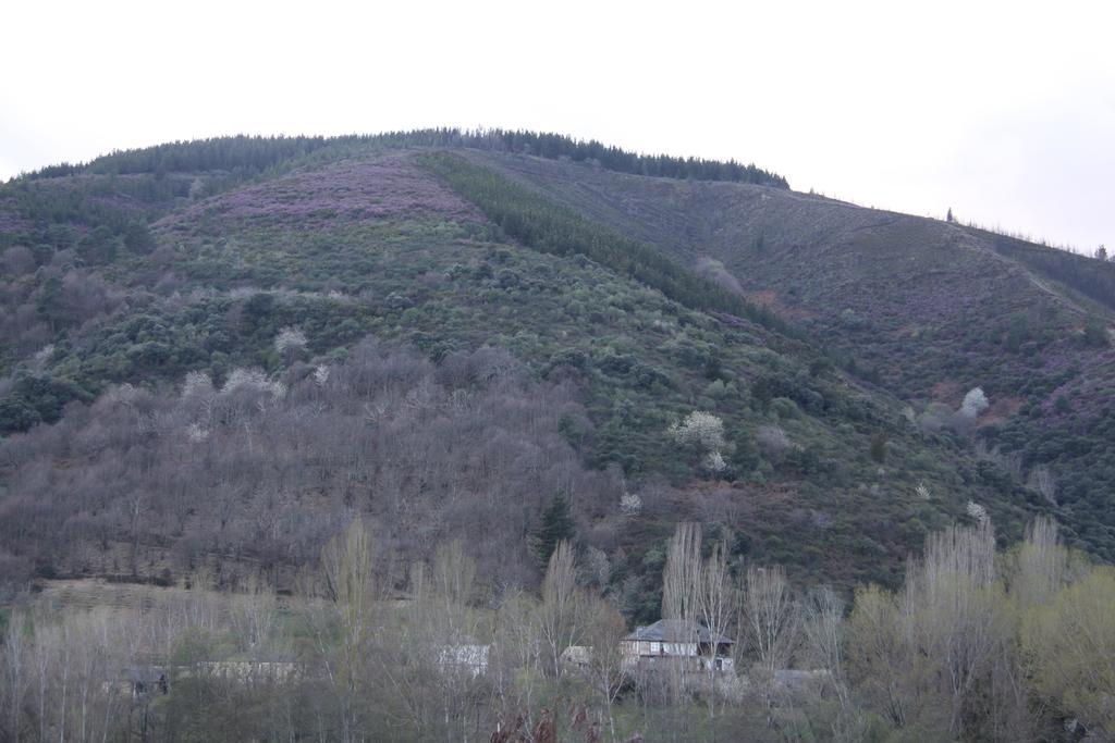 Venecia Bed&Breakfast Villafranca Del Bierzo Bagian luar foto
